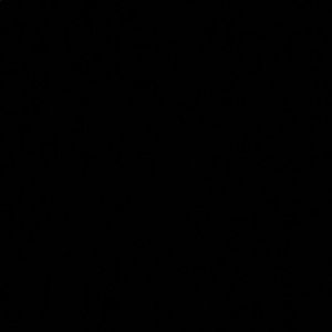 Meet your Posher, Ivanna